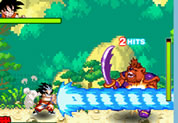 Dragon Ball Fierce Fighting